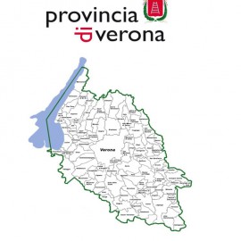 Il gettito IMU nei Comuni della Provincia di Verona: confronto con il gettito ICI e con i valori OMI